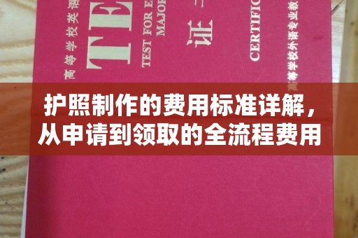 建阳护照制作的费用标准详解，从申请到领取的全流程费用指南