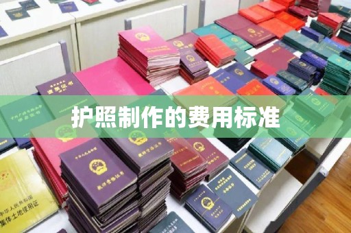 建阳护照制作的费用标准