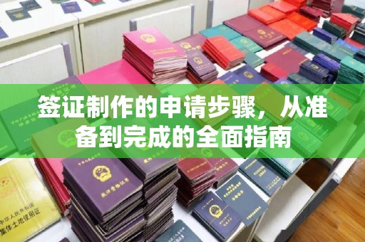 建阳签证制作的申请步骤，从准备到完成的全面指南